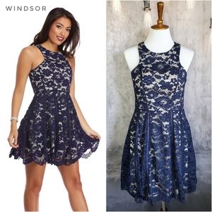 Windsor Sonia navy lace skater dress, like New, size 8-10, Large